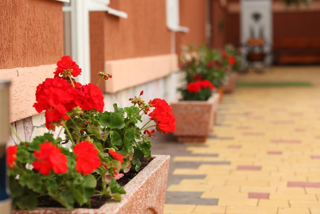 Mirage Hotel Beregszász Kültér fotó